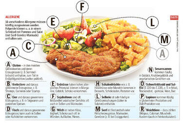 allergene_1418322837743925_v0_h