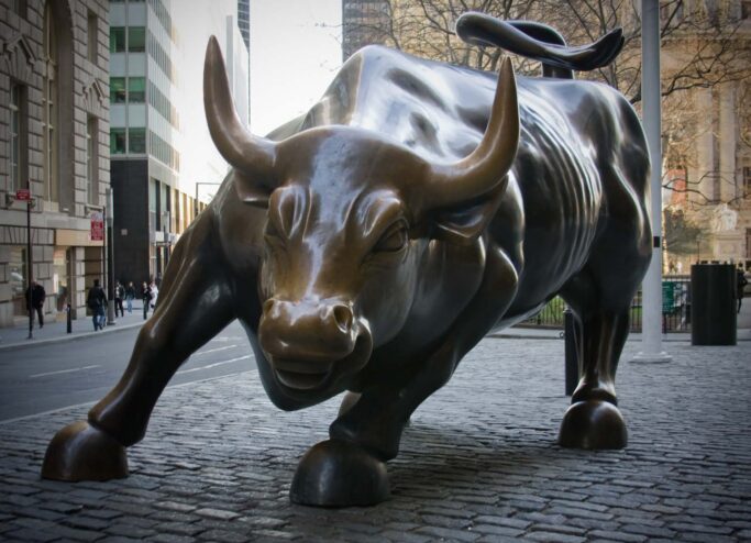 Stier_05