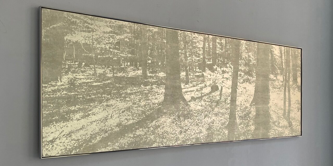 Wald XVI.1