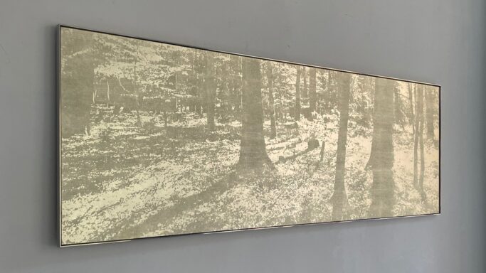 Wald XVI.1