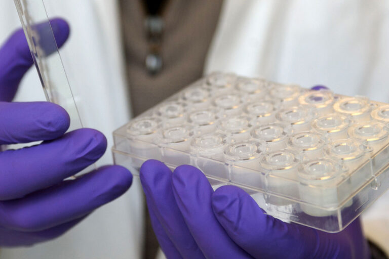 csm_Labor-Alternative-zu-Tierversuchen_dpa_28667847_2434x1310_334ec58268