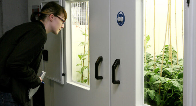 csm_Klimaforschung-Universitaet-Hohenheim_dpa_9753904_2434x1310_9120a40427
