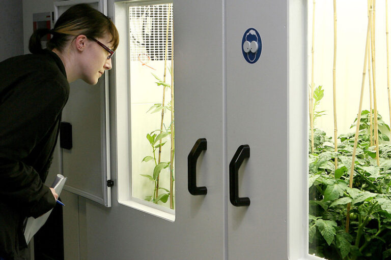 csm_Klimaforschung-Universitaet-Hohenheim_dpa_9753904_2434x1310_9120a40427