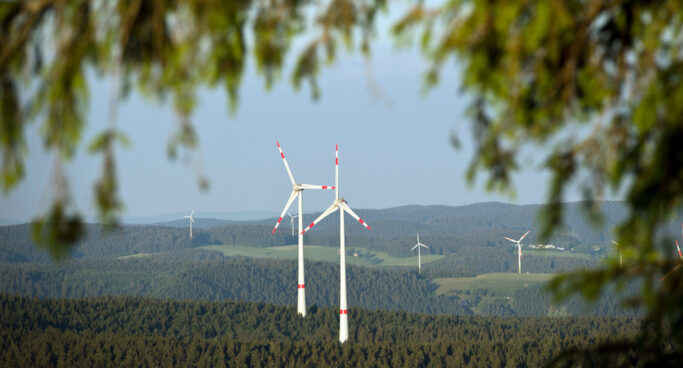 csm_130621_Windrad_Wald_dpa_60543773_2434x1310_cba997770f