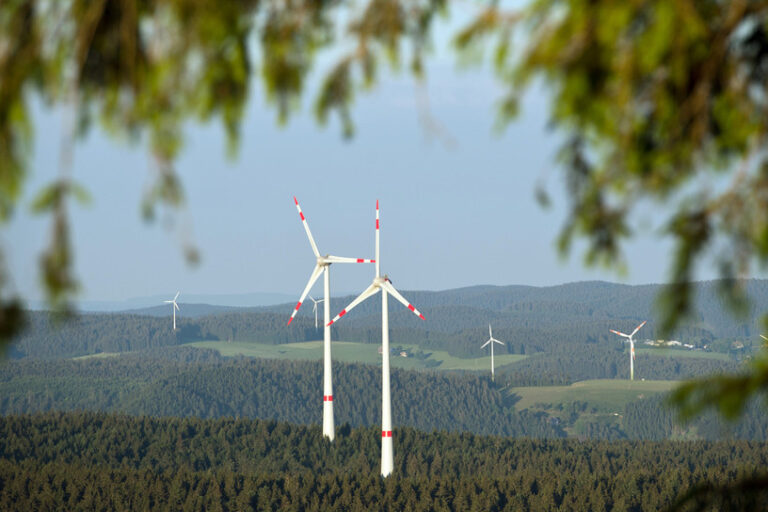 csm_130621_Windrad_Wald_dpa_60543773_2434x1310_cba997770f