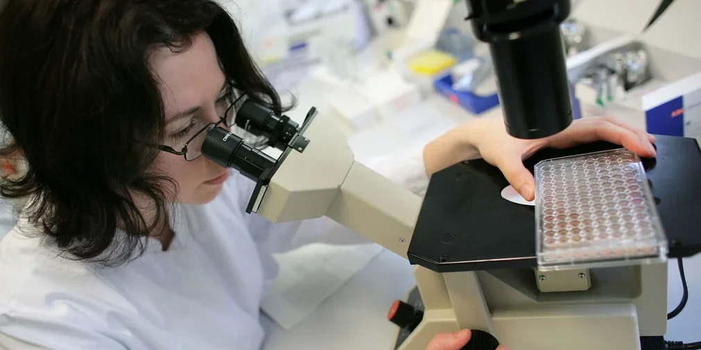 csm_Frau-im-Labor_MINT_dpa_88998900_2434x1310_a0a1a5ef0b