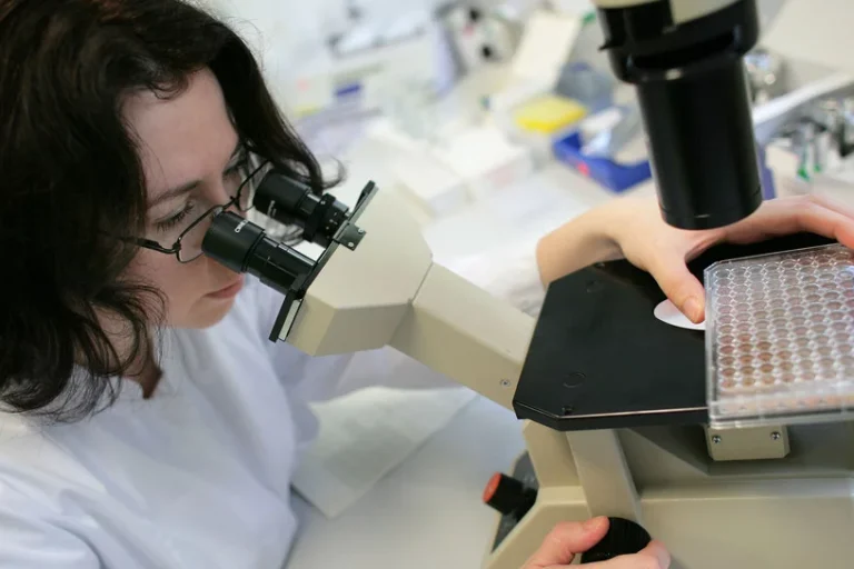 csm_Frau-im-Labor_MINT_dpa_88998900_2434x1310_a0a1a5ef0b